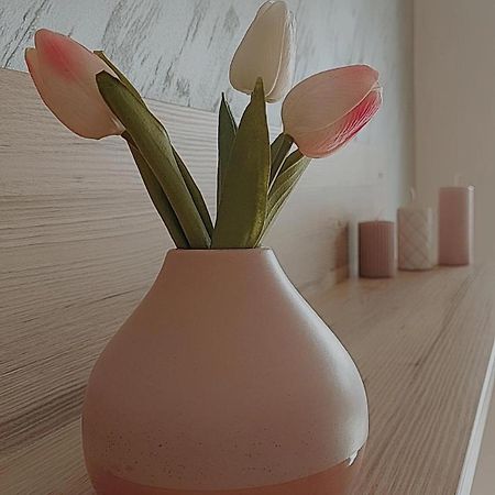 Sunray Apartman Požarevac Εξωτερικό φωτογραφία